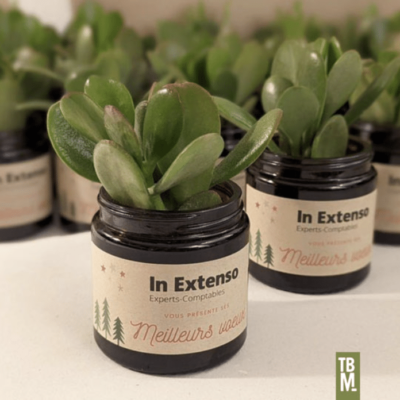 In Extenso cadeaux écoresponsables