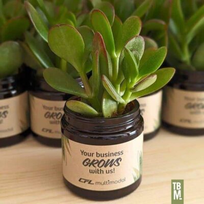 succulente cfl multimodal, portfolio réalisations goodies ta belle mer