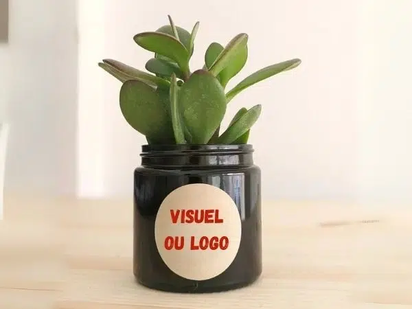 Succulente personnalisée pour cadeaux de voeux d’entreprise Made in France
