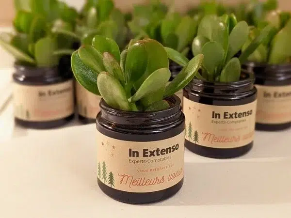 Cadeau végétal personnalisé pour voeux d’entreprise responsables