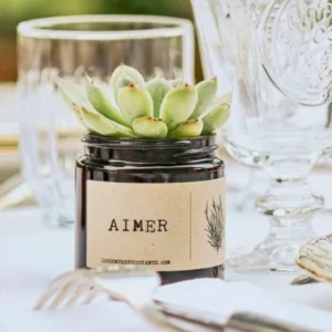 Plante mariage personnalisée 60 ml cadeau invites